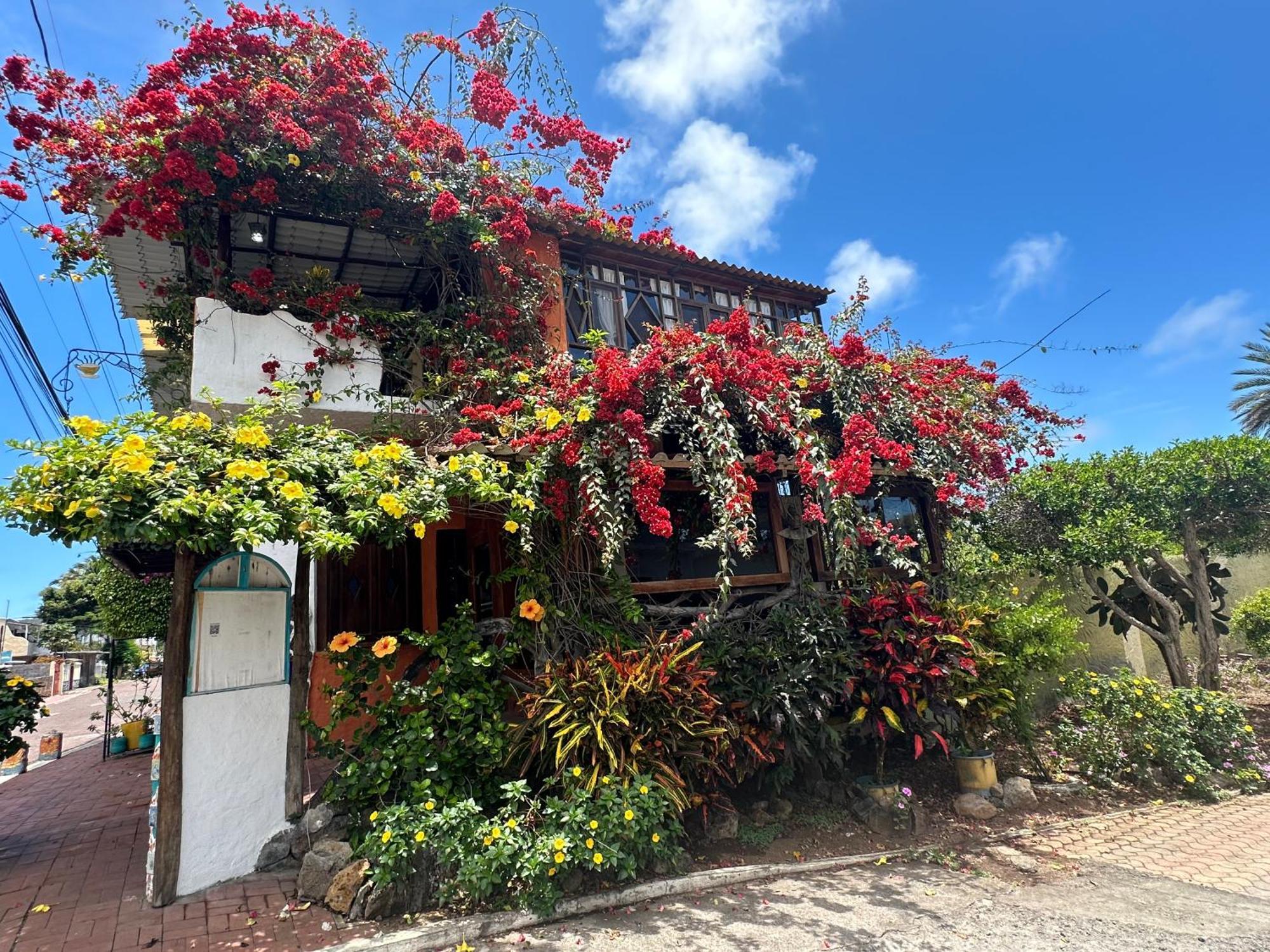 Casa Del Lago Lodging House Пуэрто-Айора Экстерьер фото